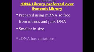 cDNA Library