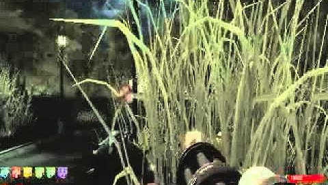 Call of Duty WaW custom zombies rise part 2