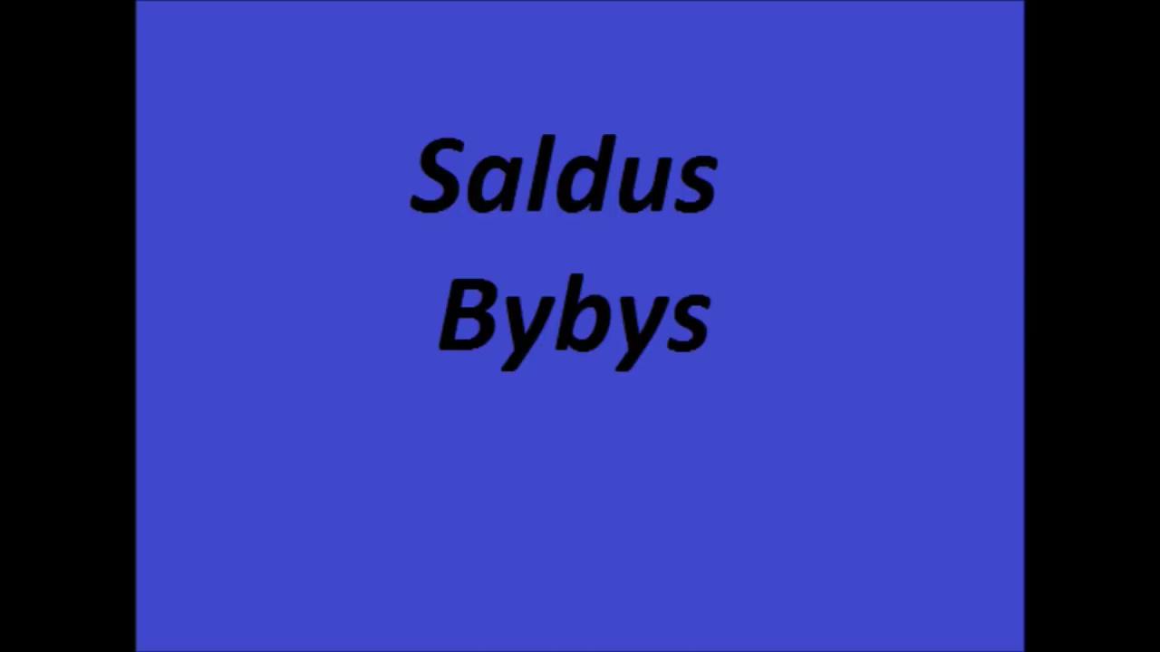 NEPRASTA MUZIKA SALDUS BYBYS