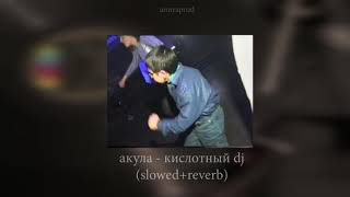 акула - кислотный dj (slowed+reverb)