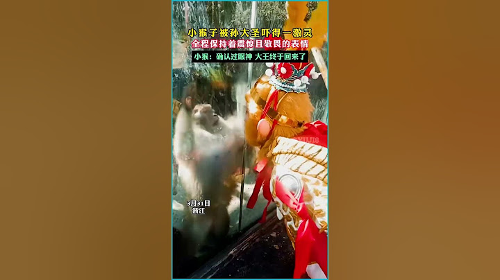 小猴子遇見孫大圣：一激灵後的震驚與敬畏瞬間！#孫悟空 #西游記