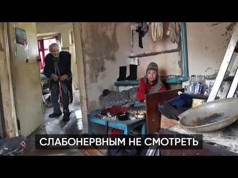 НАШЛИ В ХИБАРЕ КОЩЕЯ И БАБУ ЯГУ. Так жить они не хотели…