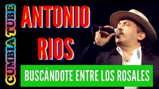 Antonio Rios - Buscándote entre los rosales chords