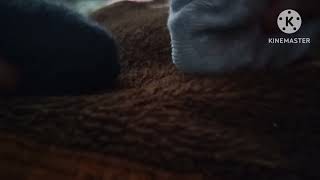 Guys Who Ate His Donuts