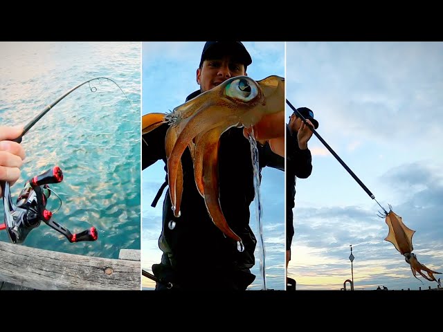 SQUID FISHING off the PIER! 