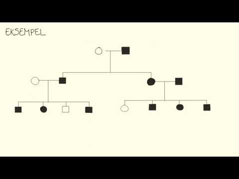 Video: Hvordan analyserer du en stamtavle?