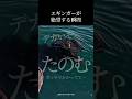 エギングで絶望する瞬間 #釣り #エギング #アオリイカ #fishing #shorts