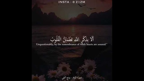 قرآن كريم بصوت القارئ وديع اليمني تلاوة مطمئن ارح قلبك 💚🌿حالة واتس إسلامية /استوري انستغرام