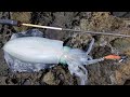 MANCING CUMI BESAR DI PINGGIR LAUT | squid fishing | eging