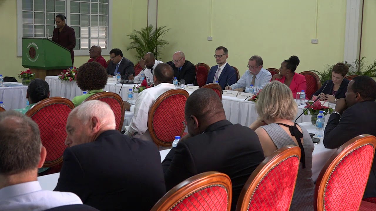 Hon. Francine Baron at Climate Resilience Executing Agency of Dominica (CREAD) Panel Discussion