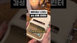 라벨 프린터 님봇 B21 무선 스티커 라벨기 (Niimbot)
