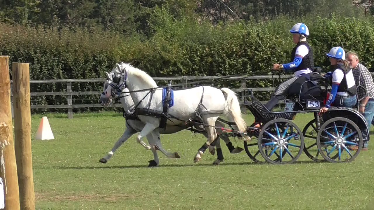 Pony pair obstacle driving, Sara Howe, Ashfields 2020