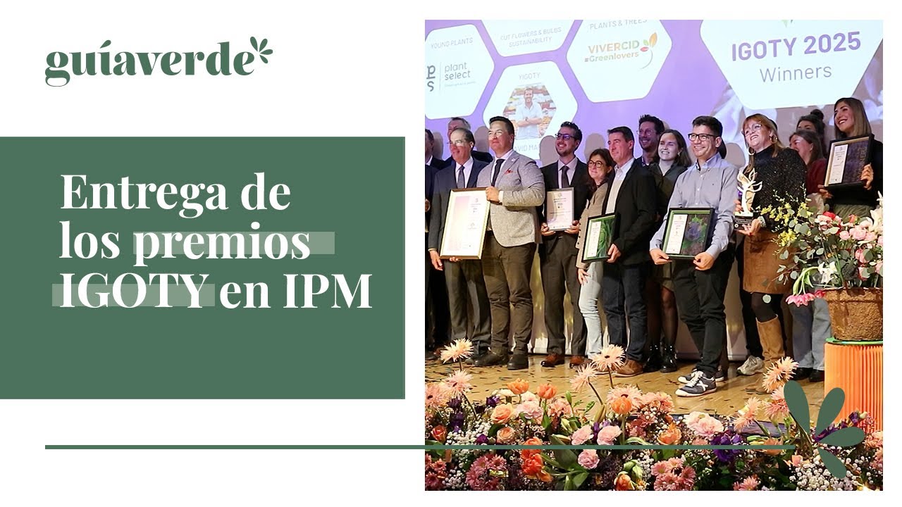 Informativo GV - Premios IGOTY 2025 en IPM Essen
