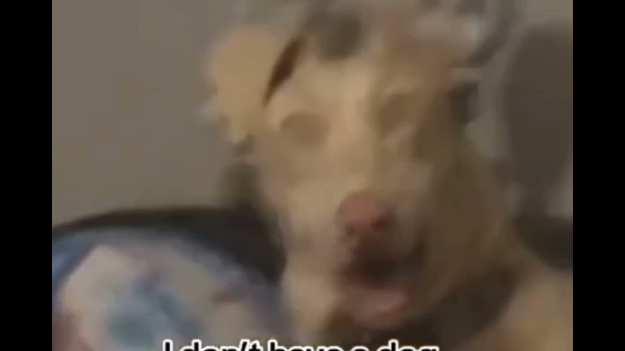 Skinwalkers caught on camera 