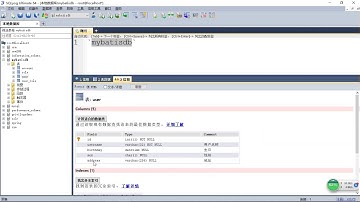 06 mybatis註解實現crud之提供User實體類