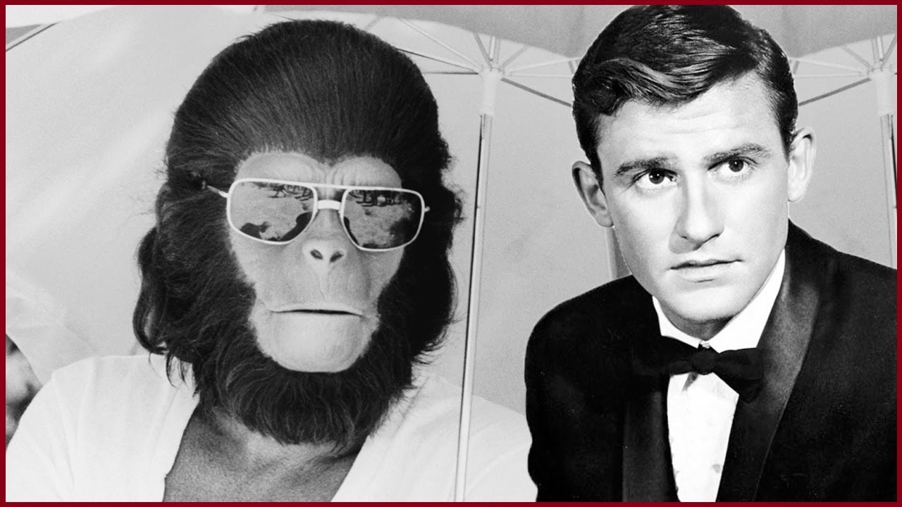 The Tragic Ending of Roddy McDowall - Caesar in the original Planet of the Apes film series.