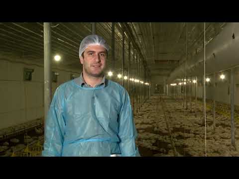 საკვების დამზადებიდან ფერმის აუდიტამდე – გადაცემა \"აგრო სიახლეებ\"-ში