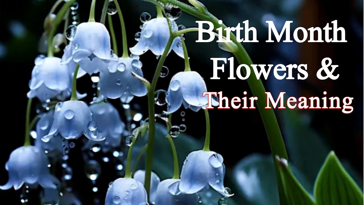 Birth Flowers By Month And Meaning Whats Your Birth Flower Says About