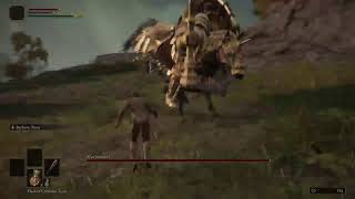Playing Eldin Ring for the first time but im the weakest class (pt.1)