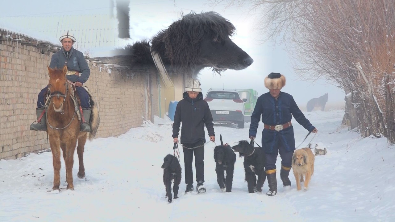 УТРК НАРЫН:КӨЧМӨНДӨР ОЮНУНА ДАЯРДЫКТАР БАШТАЛДЫ