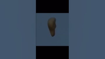 Thumbnail of Jeremy Corbell warned us #trending #alien #uap