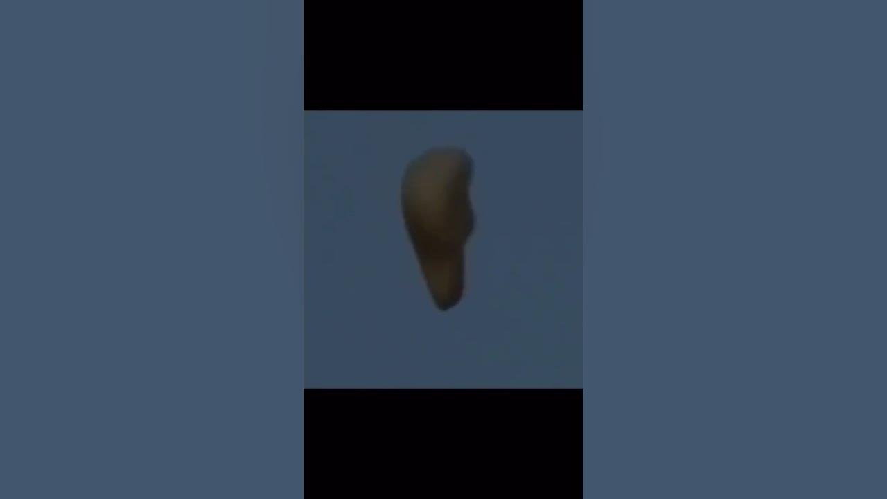 Jeremy Corbell warned us #trending #alien #uap