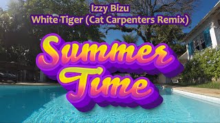 Izzy Bizu - White Tiger (Cat Carpenters Remix) (High Quality) [Summer music]