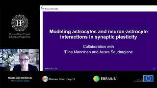 Linne Marja-Leena - Neuron-glia interactions