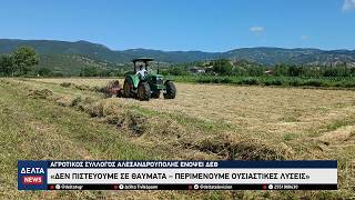Με το βλέμμα στη ΔΕΘ οι αγρότες του Έβρου – «Δεν περιμένουμε θαύματα, ζητάμε ουσιαστικές λύσεις»