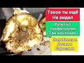 Всеми любимый вкус в новом исполнении Рулет из профитролей Три  шоколада   #профитроли #эклеры