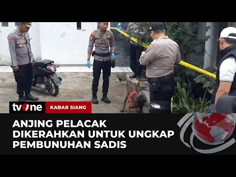 Polisi Menggunakan Anjing Pelacak Kejar Pelaku Pembunuhan Sadis di Garut | Kabar Siang tvOne