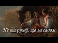 Не та ружа що за садом українська народна пісня Нове звучання Onoychenko Cover Music