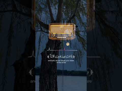 Daily Reminder Sheikh Ali Jabir