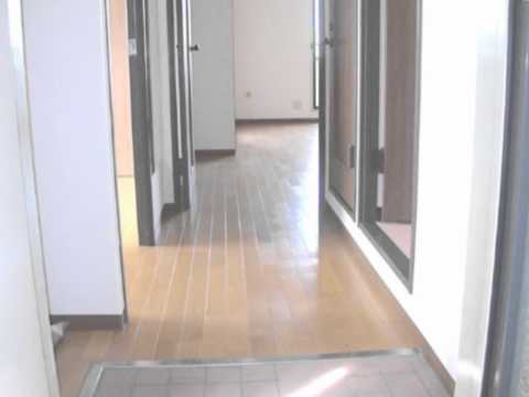 ミレニアム,賃貸マンション2LDK,堺市北区賃貸