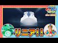 【超電導リニア】ラブ!新幹線ラボ!&シンカリオン特別ダイヤ版毎週放送|のりのりタイムズ!!|トミカ|プラレール #60