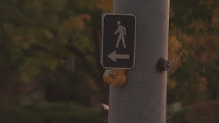 City Committee identifies ways to make sidewalks accessible for those with disabilities