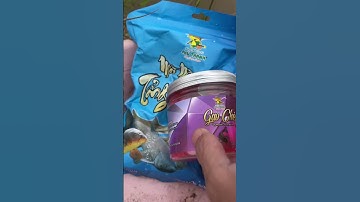 Câu tôm càng xanh