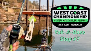 Catching BIG BASS all weekend! (Clear Lake, Ca) West Coast Championship