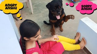 anshu is very angry with jerry||well trained dog||funny dog videos.