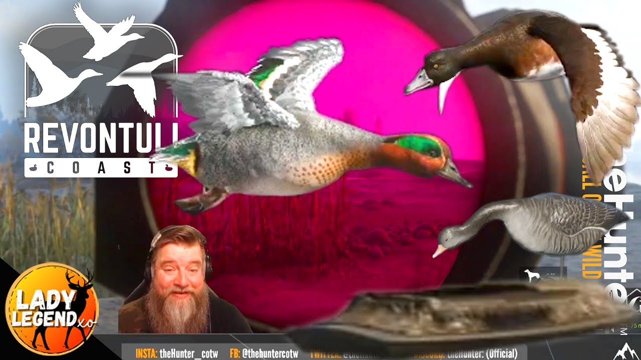 WATERFOWL REWORK First Look!!! - Revontuli Coast - Call of the Wild