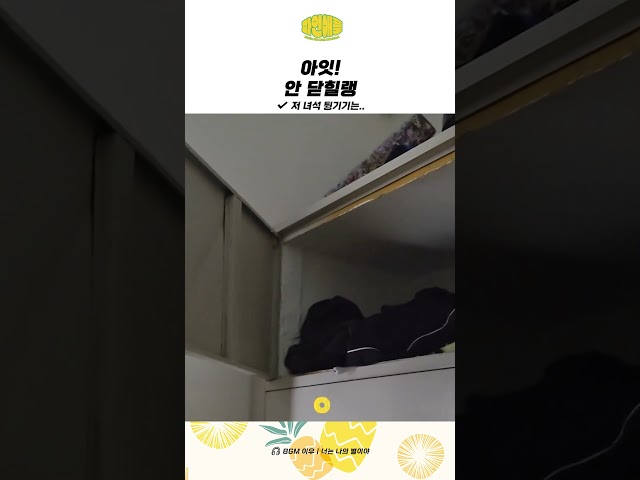소심한 사물함 ????