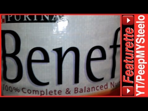 purina-beneful-dog-food-brand-in-adult-dry-recipe-for-best-wellness-w/-healthy-ingredients-info