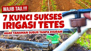 MAU BIKIN IRIGASI TETES.??? WAJIB TAU 7 HAL PENTING INI - Tanaman Subur Saat Kemarau Tanpa Disiram