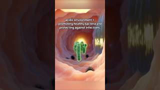 VAGINAL PROTECTION उसकी 👉 अम्लता(pH)
