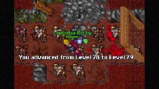 Tibia Lailinha Kitty Chimera