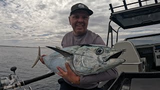 Trolling Julia Percy Island and its surrounding schools of Tuna.