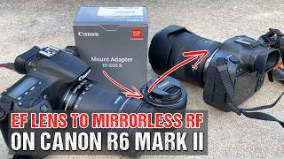 Canon R6 Mark II: How to Use an EF Lens on Your Canon R6 Mark II with EF-EOS R Mount Adapter