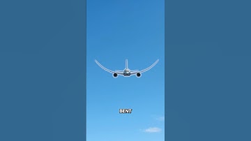 How Strong are Plane Wings?