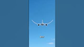 How Strong are Plane Wings?