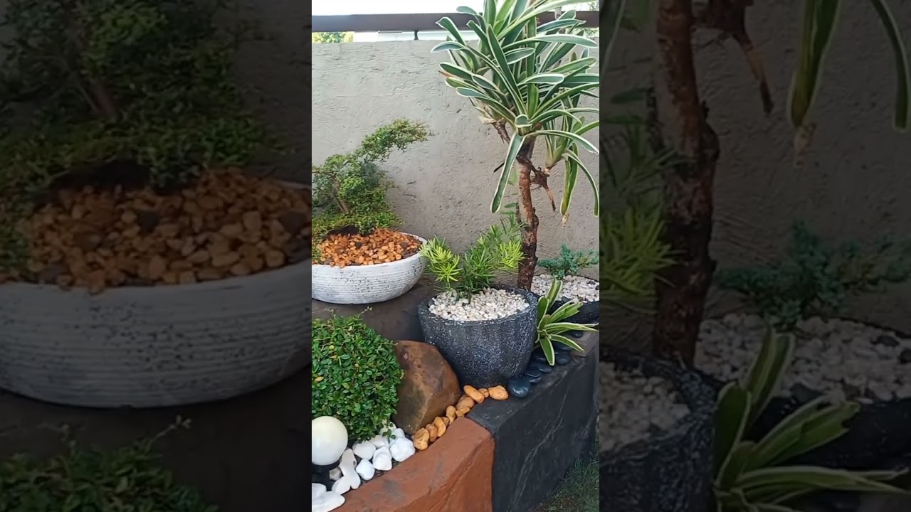 Modern Landscape Ideas 